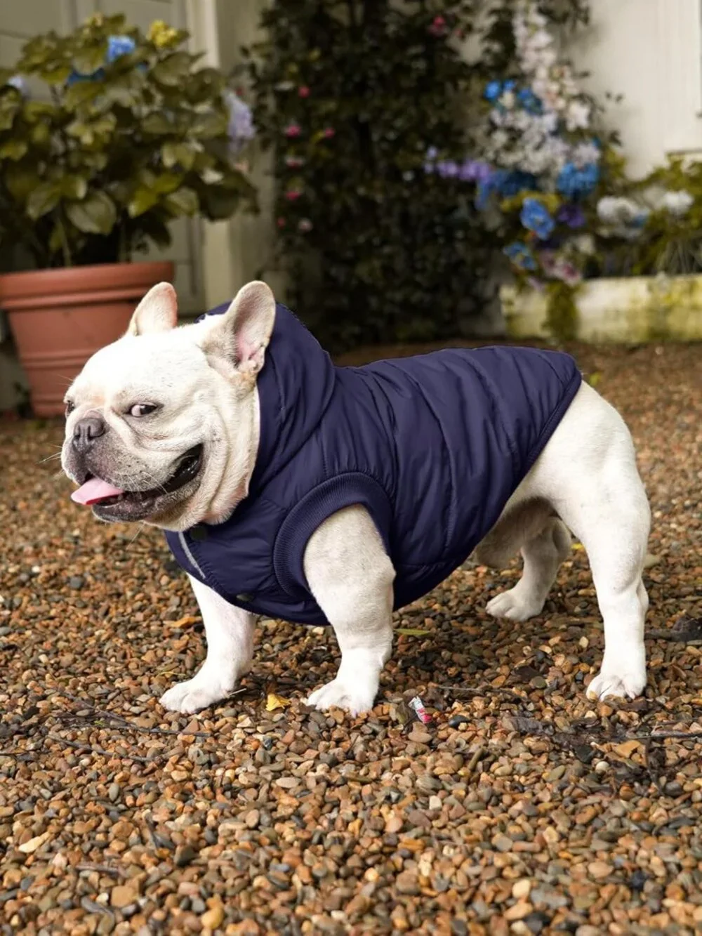 Vecomfy Fleece Lining Extra Warm Dog Hoodie